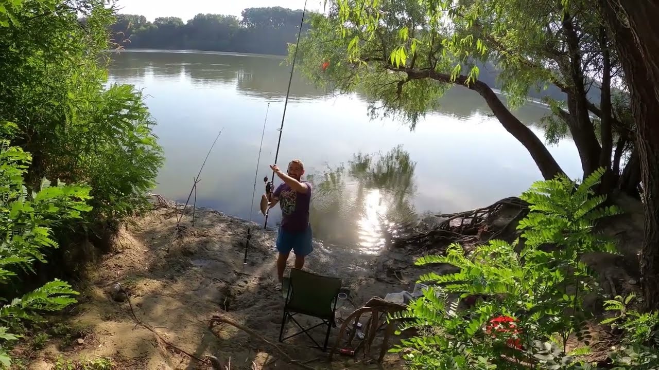 Pescuială în cercetare la Nufăru și zona 7 ţevi - TULCEA - Partea II