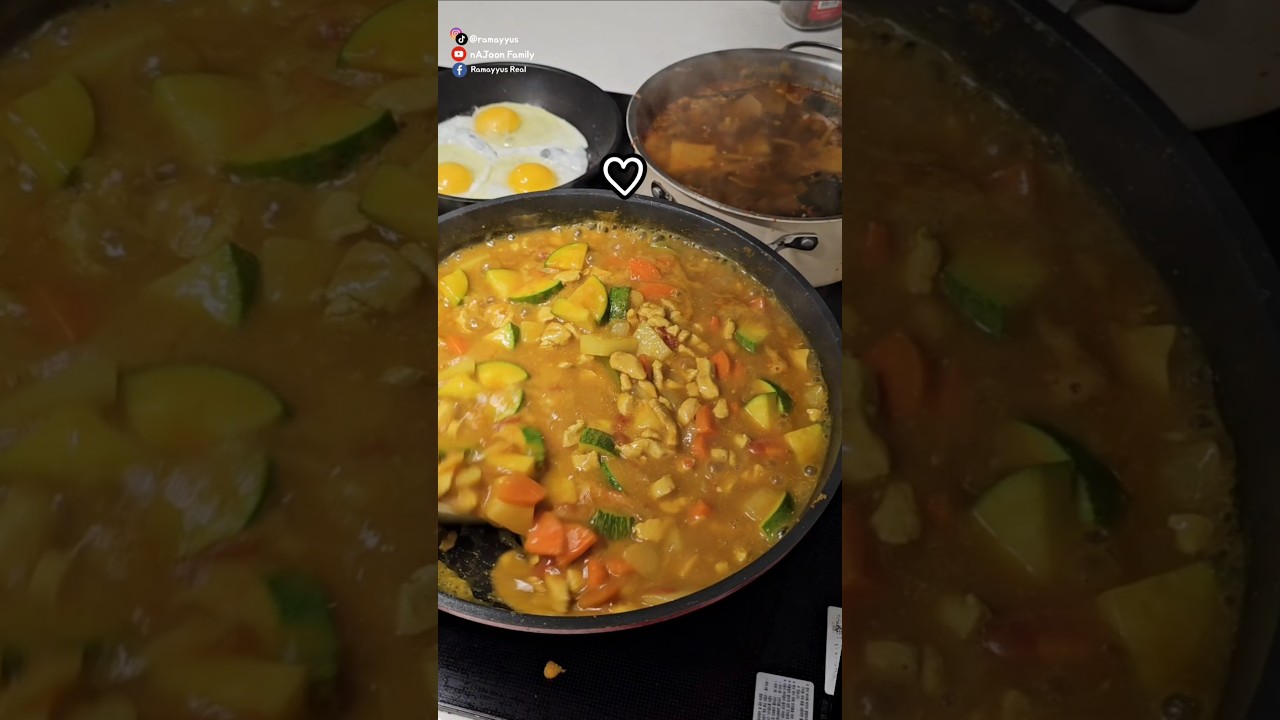 Korean Curry & Spicy Chadol-Tang #najoonfamily