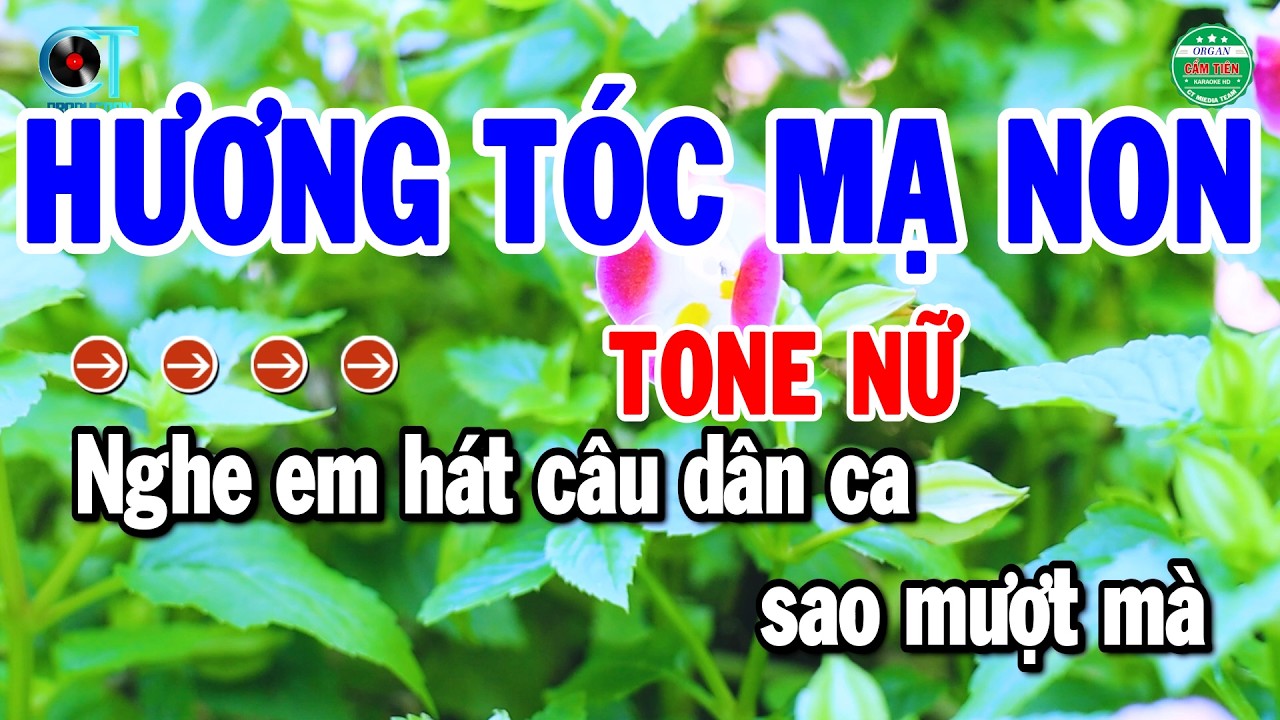 Karaoke Hương Tóc Mạ Non Tone Nữ Nhạc Sốnf Cha Cha Chuẩn | Cẩm Tiên Organ