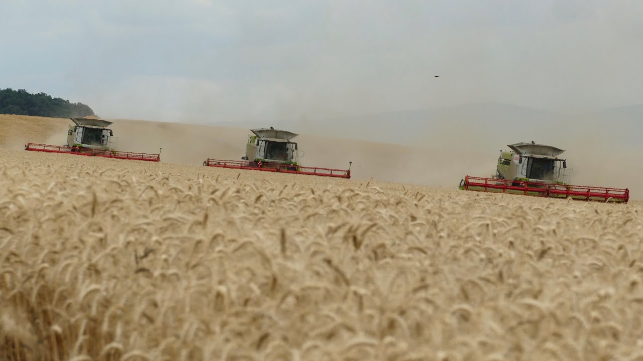 EXTREME SLOVAKIA HARVEST 2018 - DONAU FARM - 3x Claas Lexion, 7x John Deere