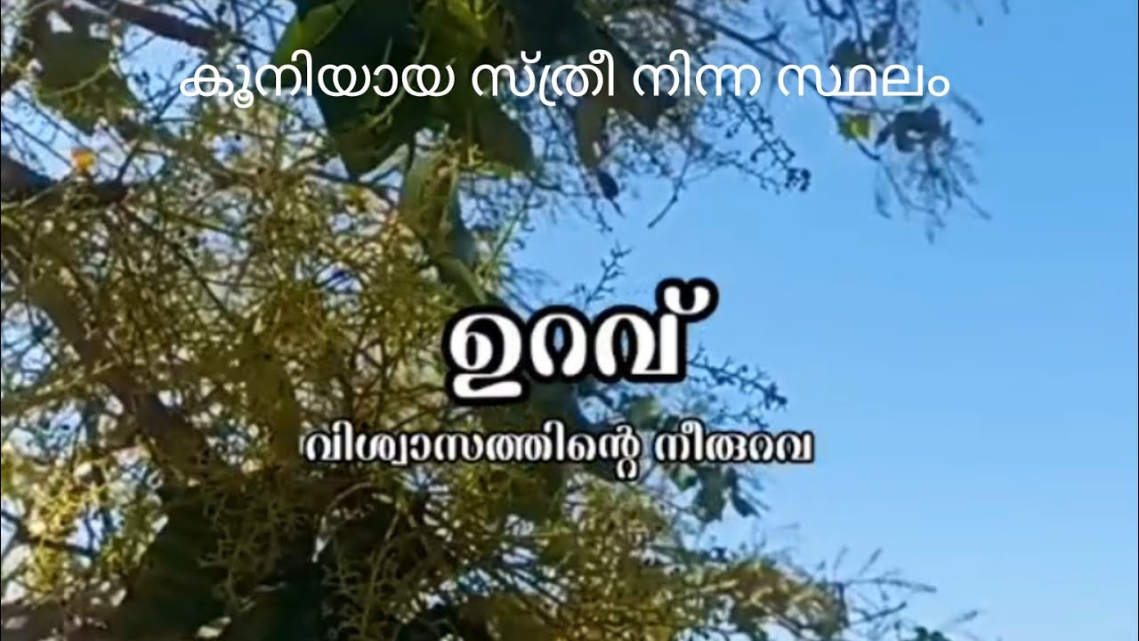 കൂനിയായ സ്ത്രീ നിന്ന സ്ഥലം..