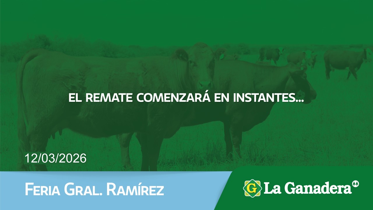 Remate de Hacienda Coop. LA GANADERA -  Gral. Ramírez -  Jueves 12 de Febrero de 2026.