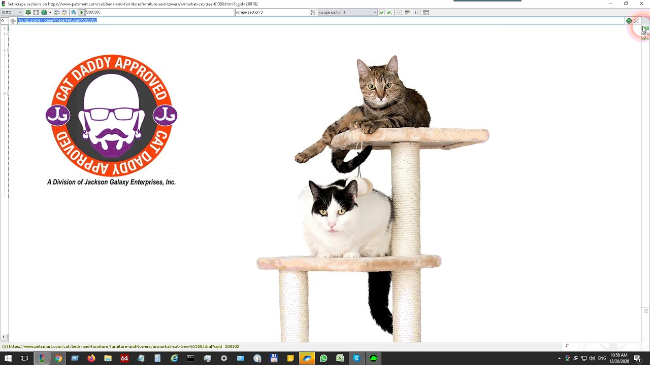 How to scrape a website