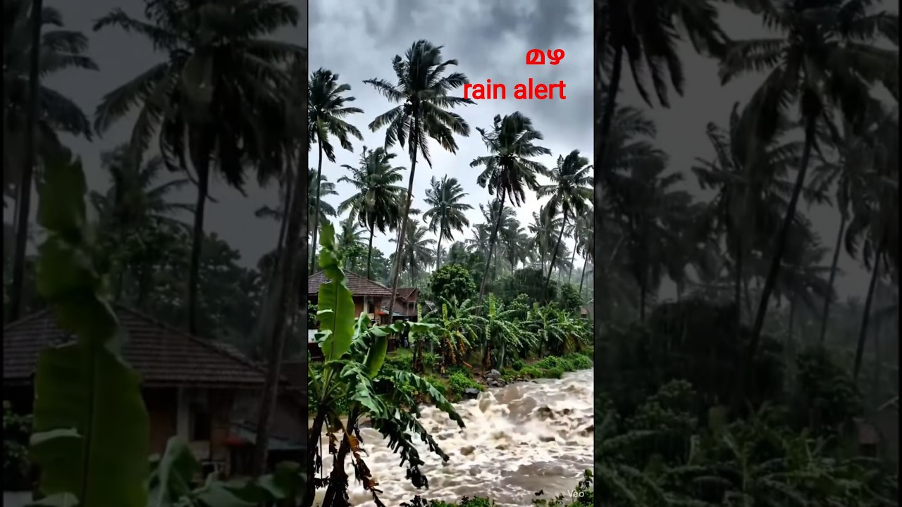 Rain alert #rain