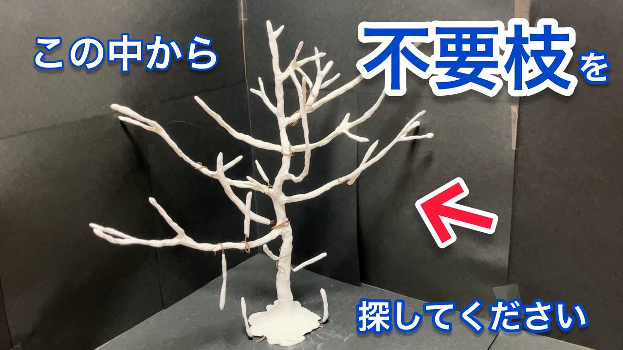 【最速で身につく】庭木の剪定やり方【切る枝はこれだ！】
