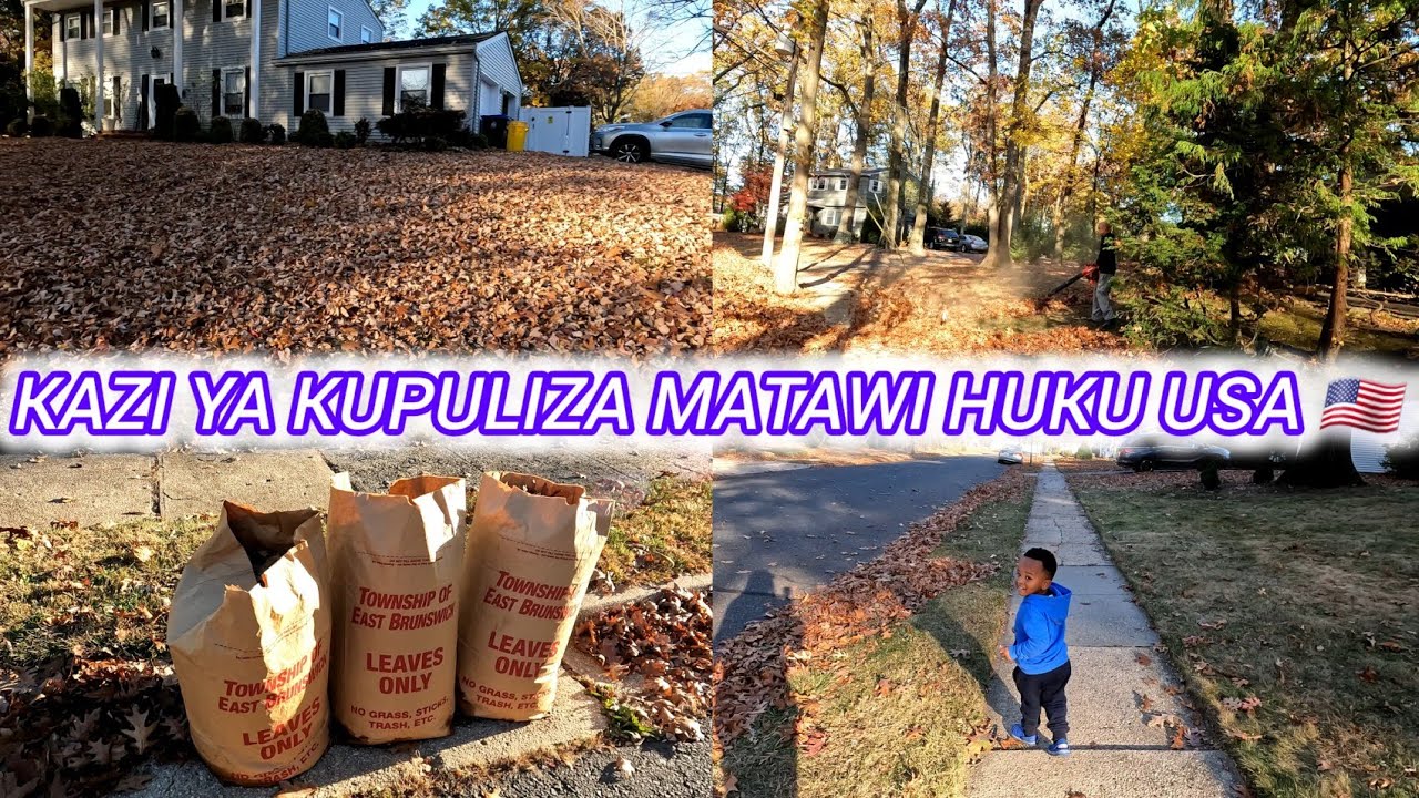 KAZI YA KUPULIZA MATAWI HUKU 🇺🇸 USA