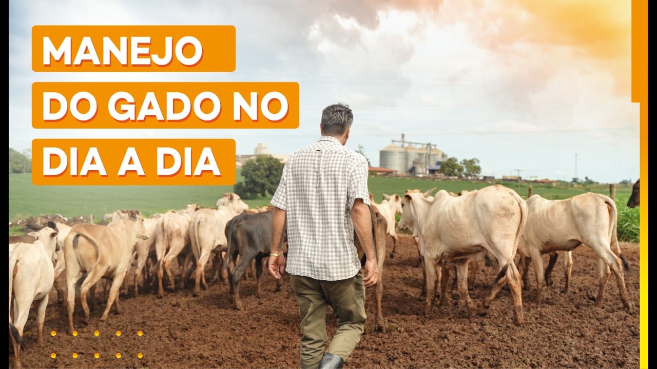 Esse detalhe faz diferença na sua fazenda