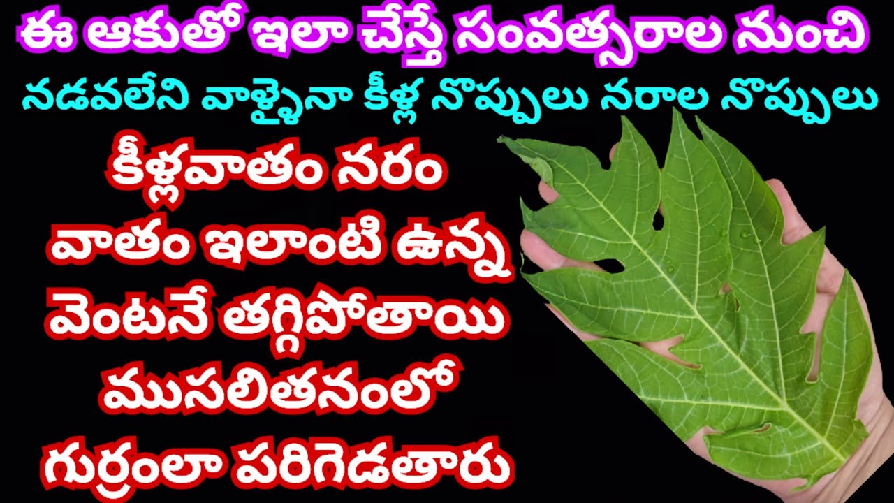  ఈ ఆకుతో ఇలా చేస్తే సంవత్సరాల నుంచి నడవలేని వాళ్ళైనా కీళ్ల నొప్పులు నరాల నొప్పులు కీళ్లవాతం నరం వాతం