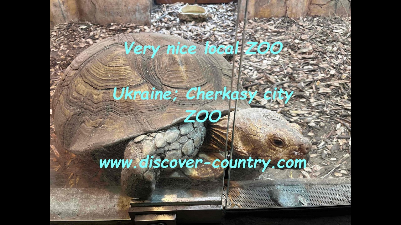 Ukraine; Cherkasy; Zoo (Part 1: Terrarium, Otters, Wolves, Bison) | UA: м. Черкаси; Зоопарк