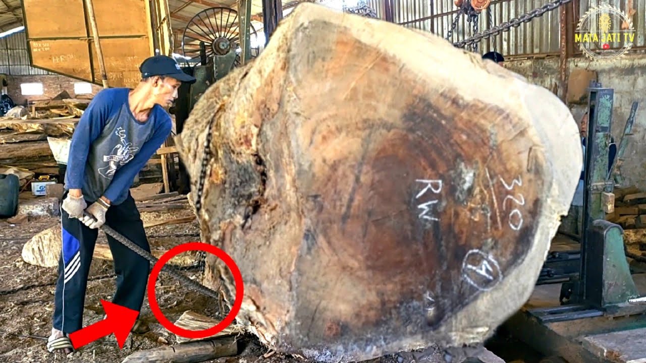 Flaming Monkey pod Wood Like This Will Set Your Sawmill on Fire