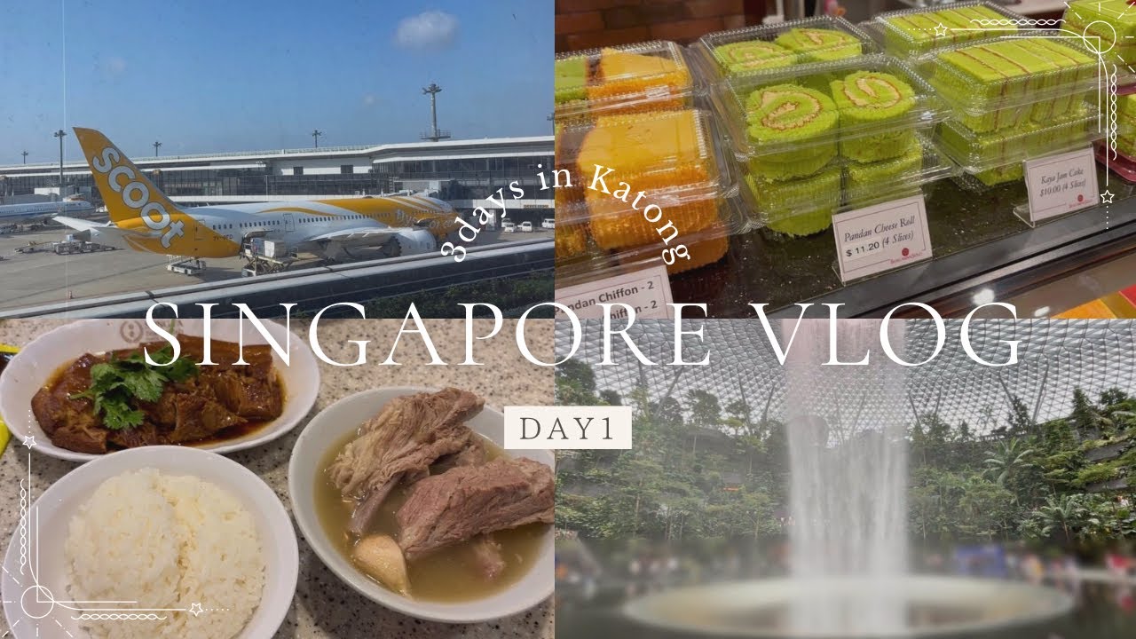 【ジュエルで爆食】シンガポール2泊3日の旅・DAY1/ついに念願のジュエルへ