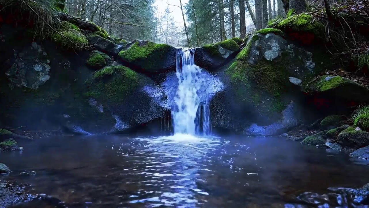 Peaceful River Sounds | Gentle Nature Ambience for Relaxation and Focus