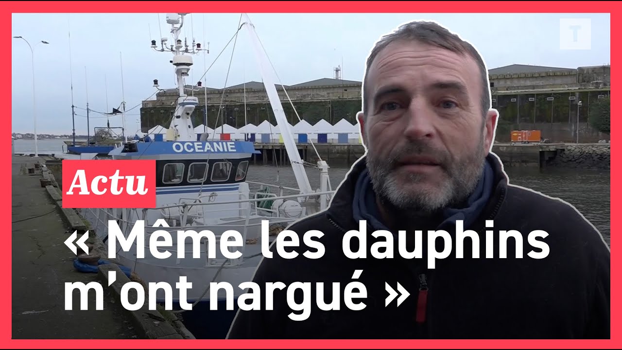 Interdiction de pêche dans le Golfe de Gascogne : pourquoi 450 bateaux sont à quai depuis ce lundi