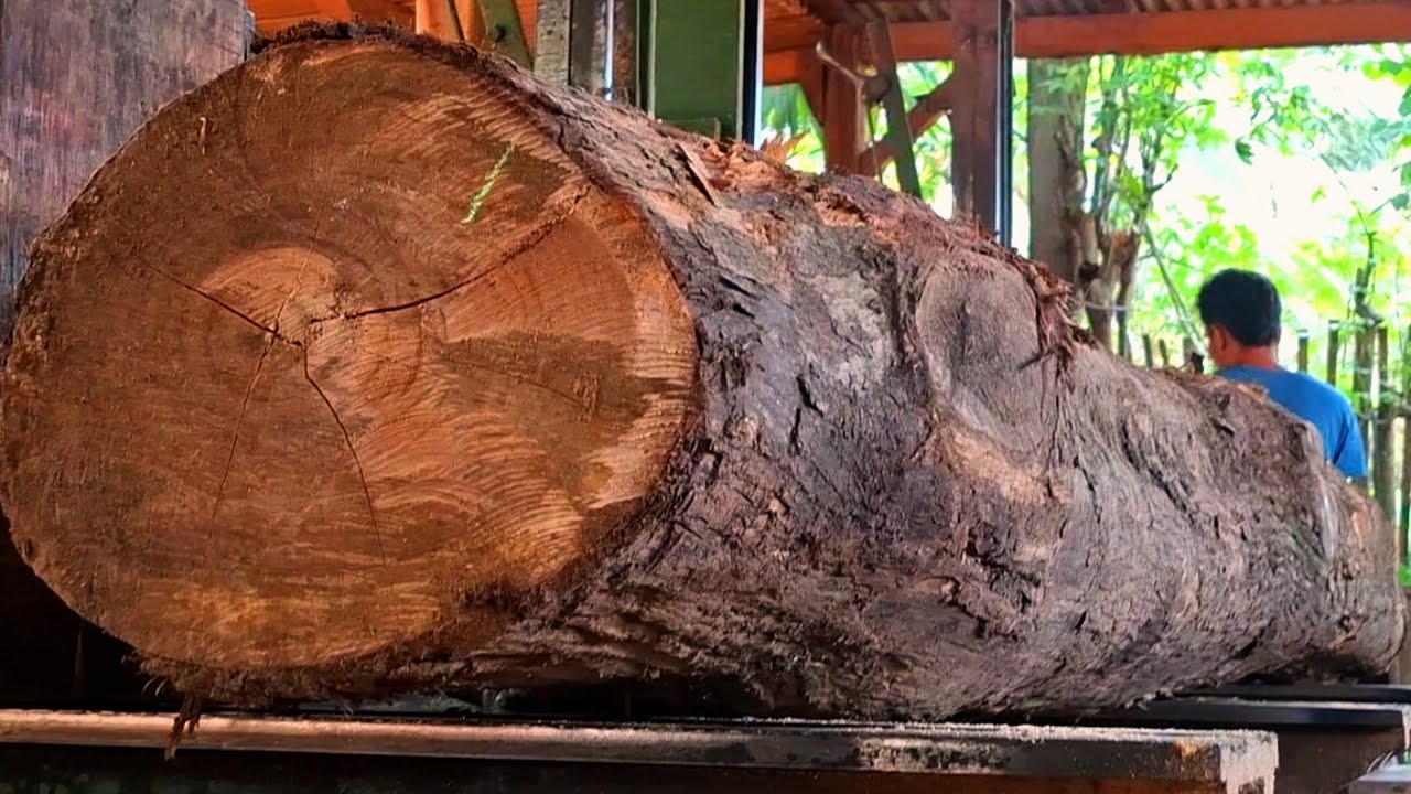 The specialty of teak wood is that it is ranked in the top 10 best woods in the world