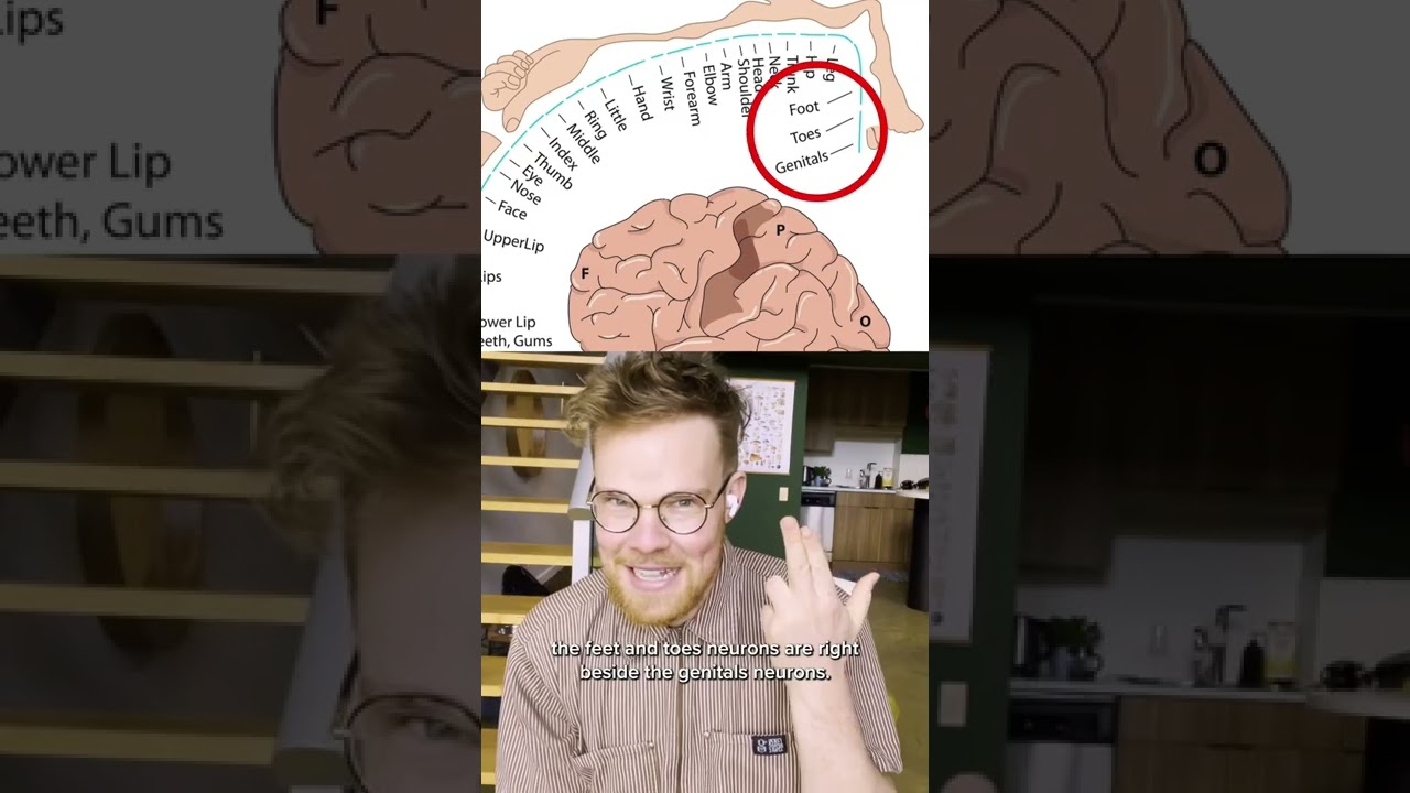 Why EVERYONE has a foot fetish 😜 