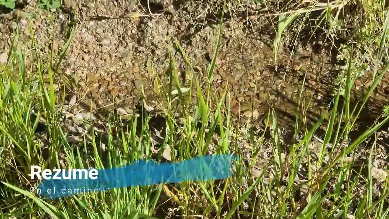 Rezumes de La Huerta de El Chispa (Guadalcanal)