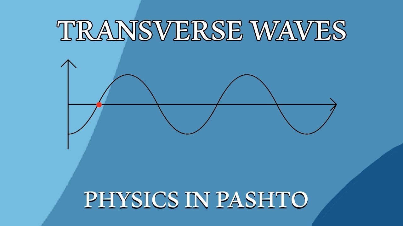 Waves - Transverse Waves | Physics in Pashto