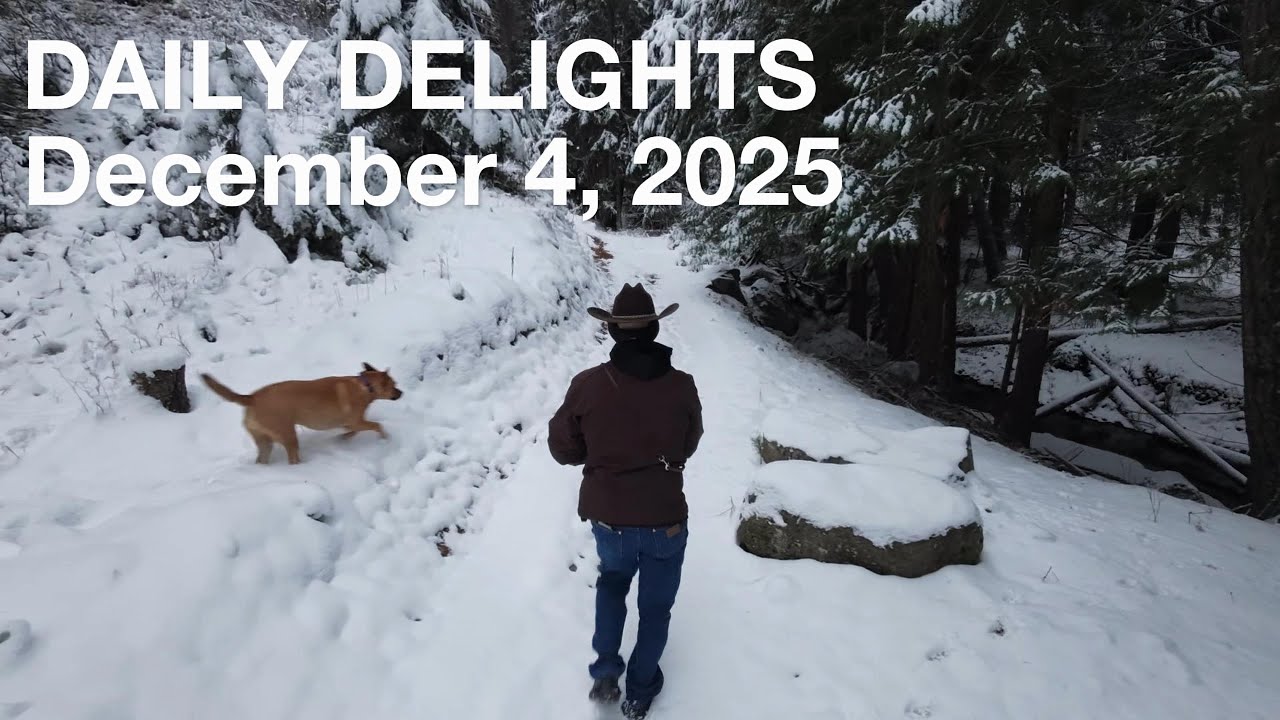 Calming walk in the snowy forest #neo2 #dogwalk #montana