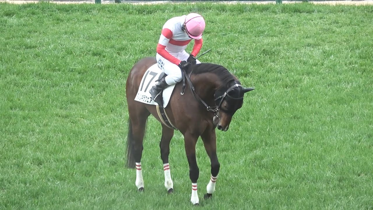 【現地】2026 藤岡佑介騎手 最後のレースでダノンキラウェアとお辞儀する【阪神競馬場】