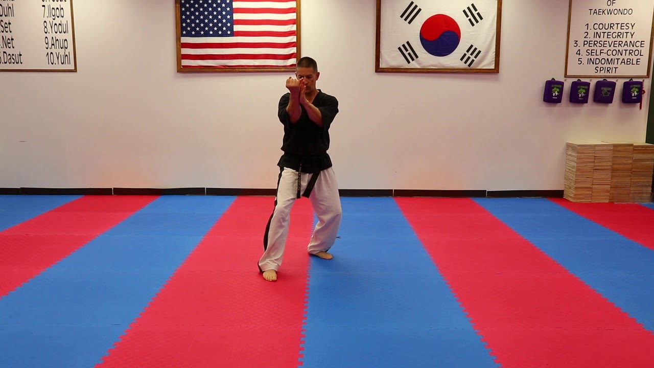 Ship Jin Poomse Rear View-5th Dan Black Belt