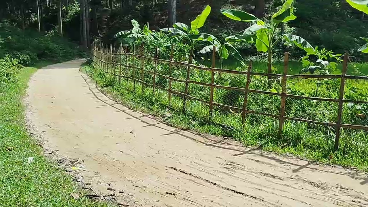 #serenity#nature#rural life#bangladesh
