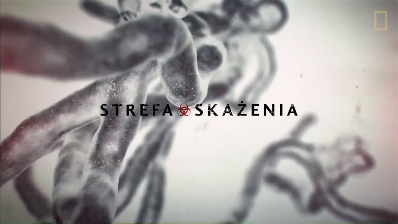 Jak działa wirus ebola?
