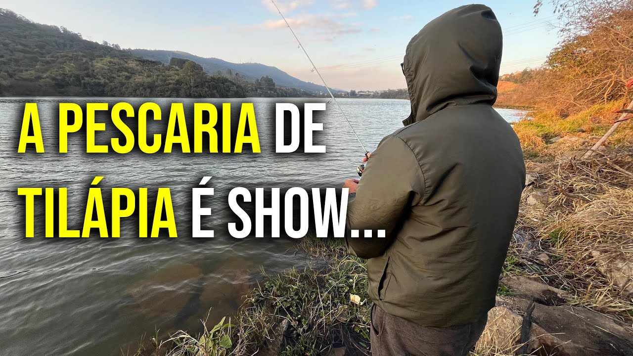 Saiu muita Tilápia no FERRINHO.