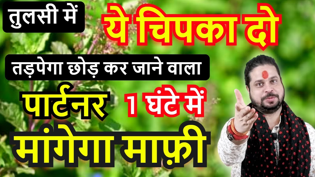 Love💞तुलसी में ये चिपका दो प्यार खुद मांगेगा माफ़ी 1 घंटे में  #Loveastrology#tulsivivah#loveproblem