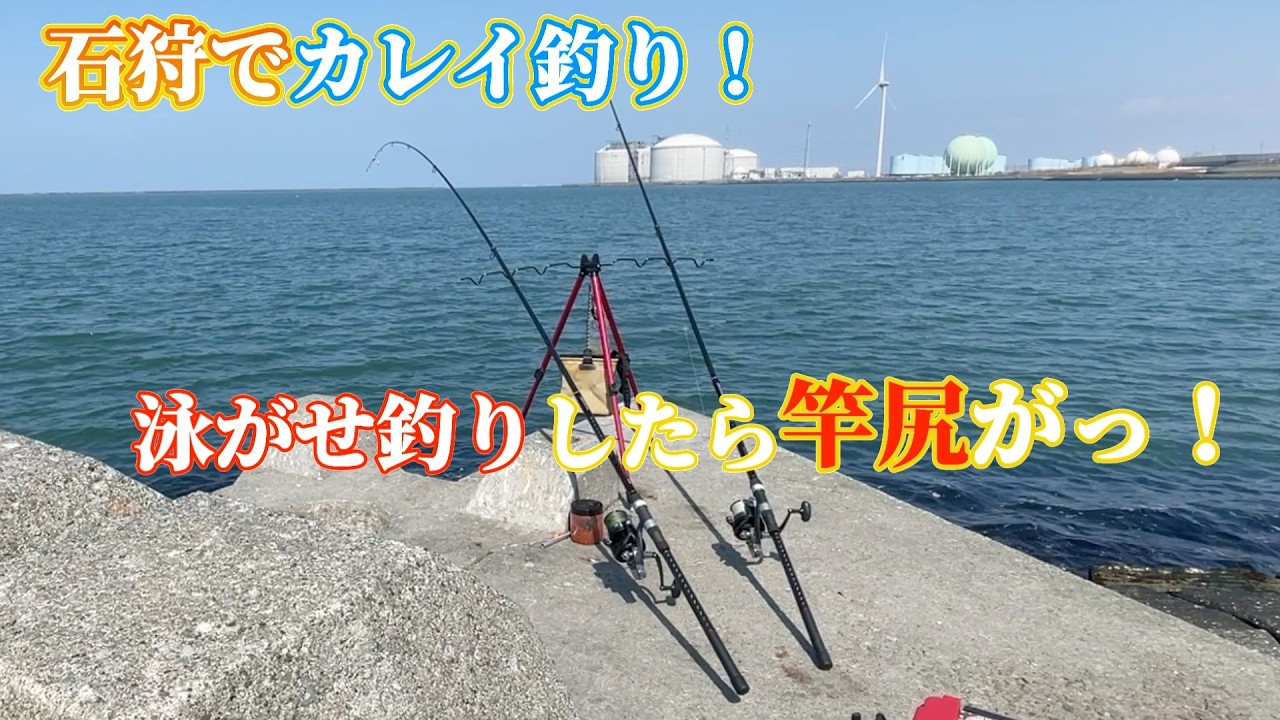 3月下旬⭐︎石狩湾でカレイ釣り！穴釣りしたエゾメバルで泳がせ釣りも！竿尻が上がるアタリが♪