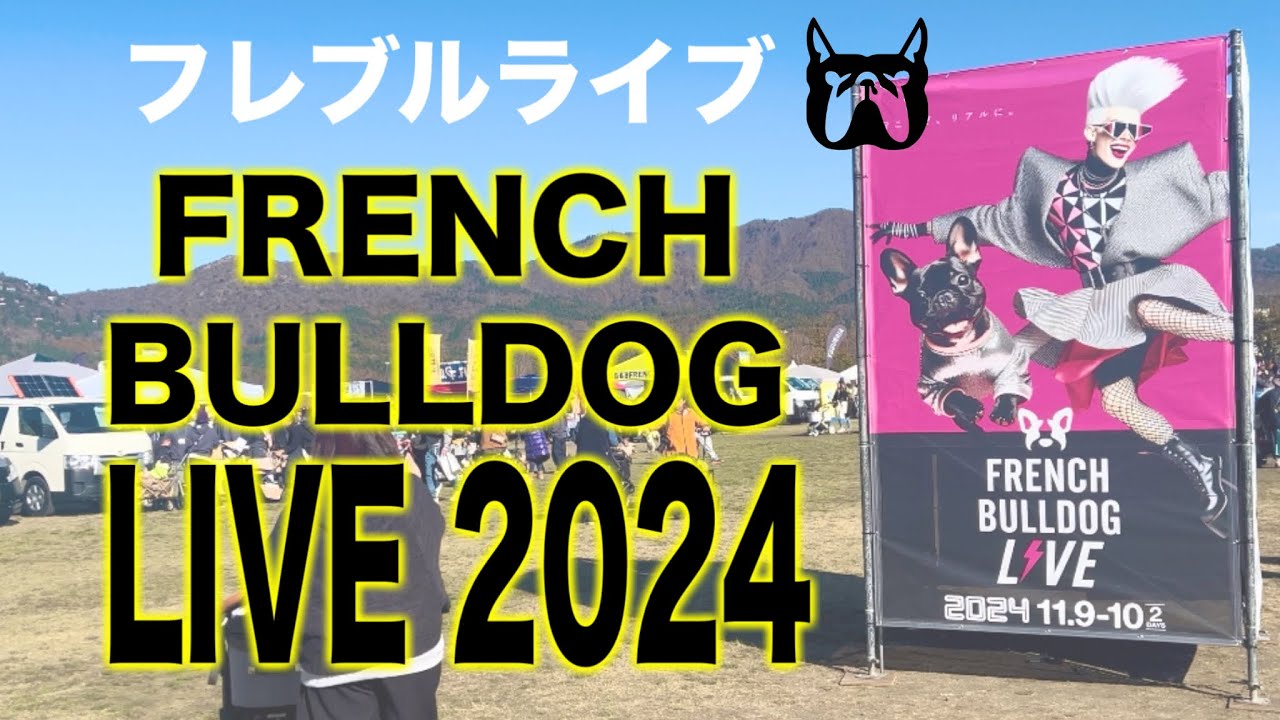 【NEW】フレンチブルドッグライブ2024！ワクワクが止まらない