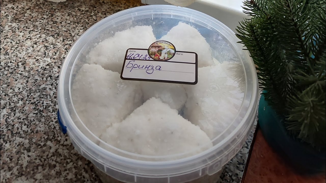 ЯК ЗАСОЛИТИ БРИНЗУ ТА М'ЯКІ СИРИ для довготривалого зберігання 🧀🧀🧀