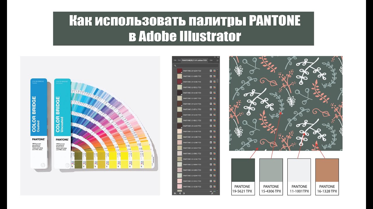 Как работать с PANTONE в Adobe Illustrator, если у вас не калиброванный монитор и нужно задать цвет