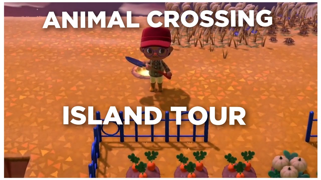 Animal Crossing Island Tour