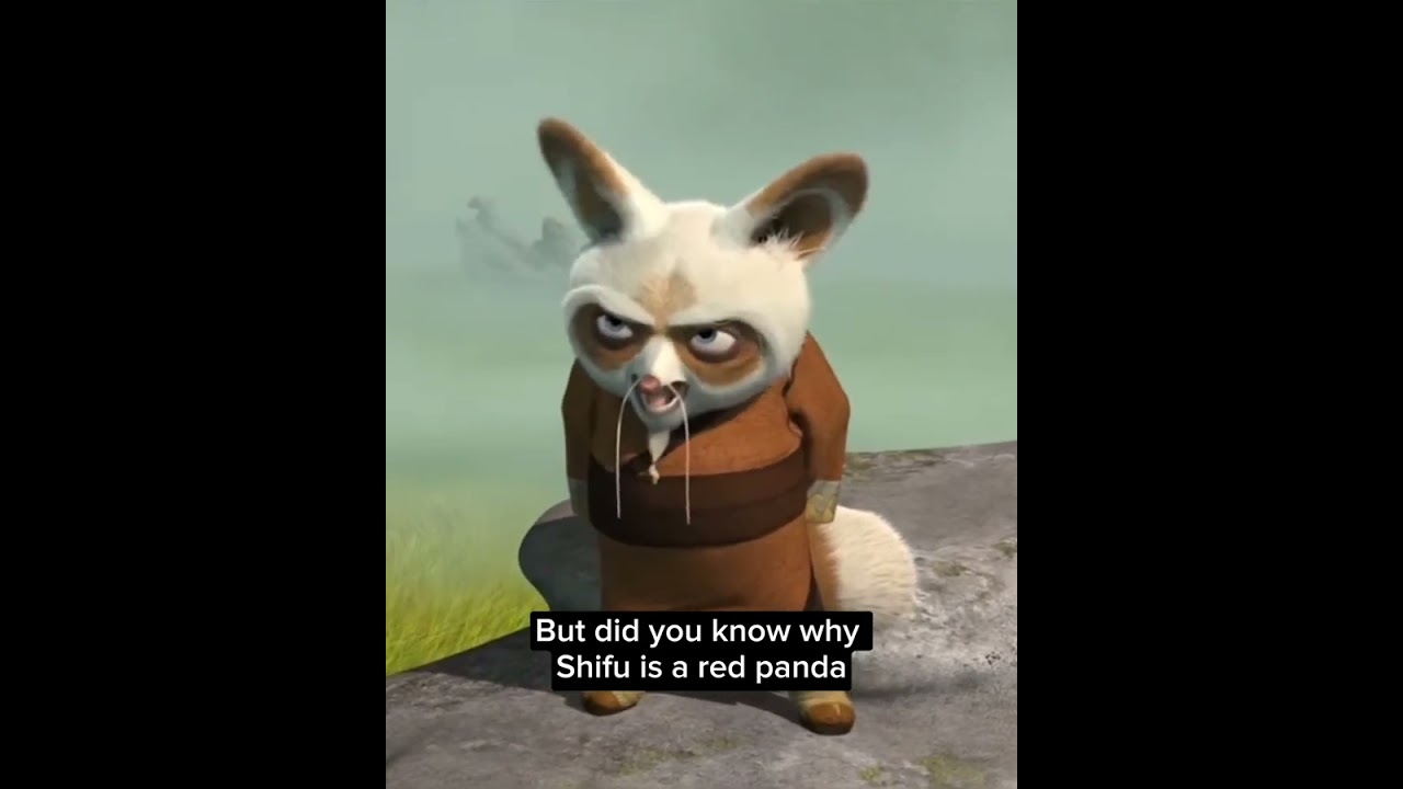 Why Shifu is a &ldquo;Red panda&rdquo; in Kung Fu Panda? #shorts #viral