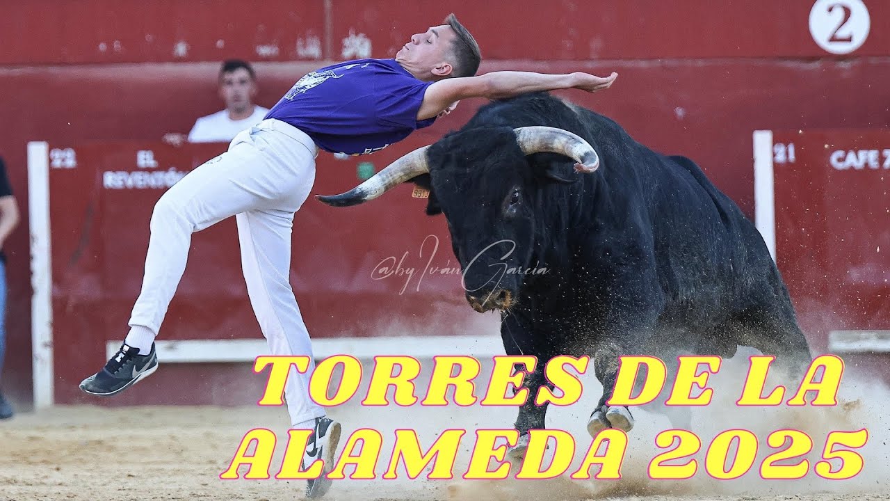 4K// TORRES DE LA ALAMEDA 2025 CONCURSO DE RECORTADORES CON TOROS BRAVOS 