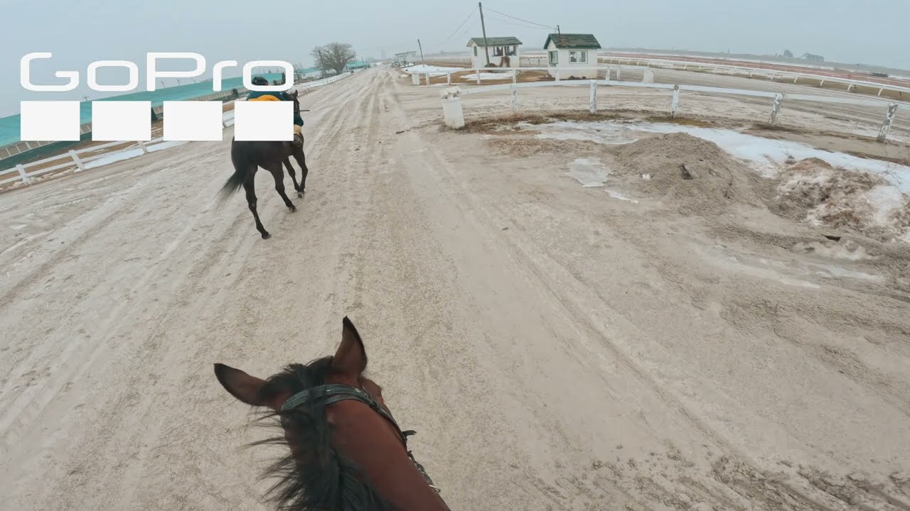 GOPRO Foggy Morning Riding a Thoroughbred Day 2 
