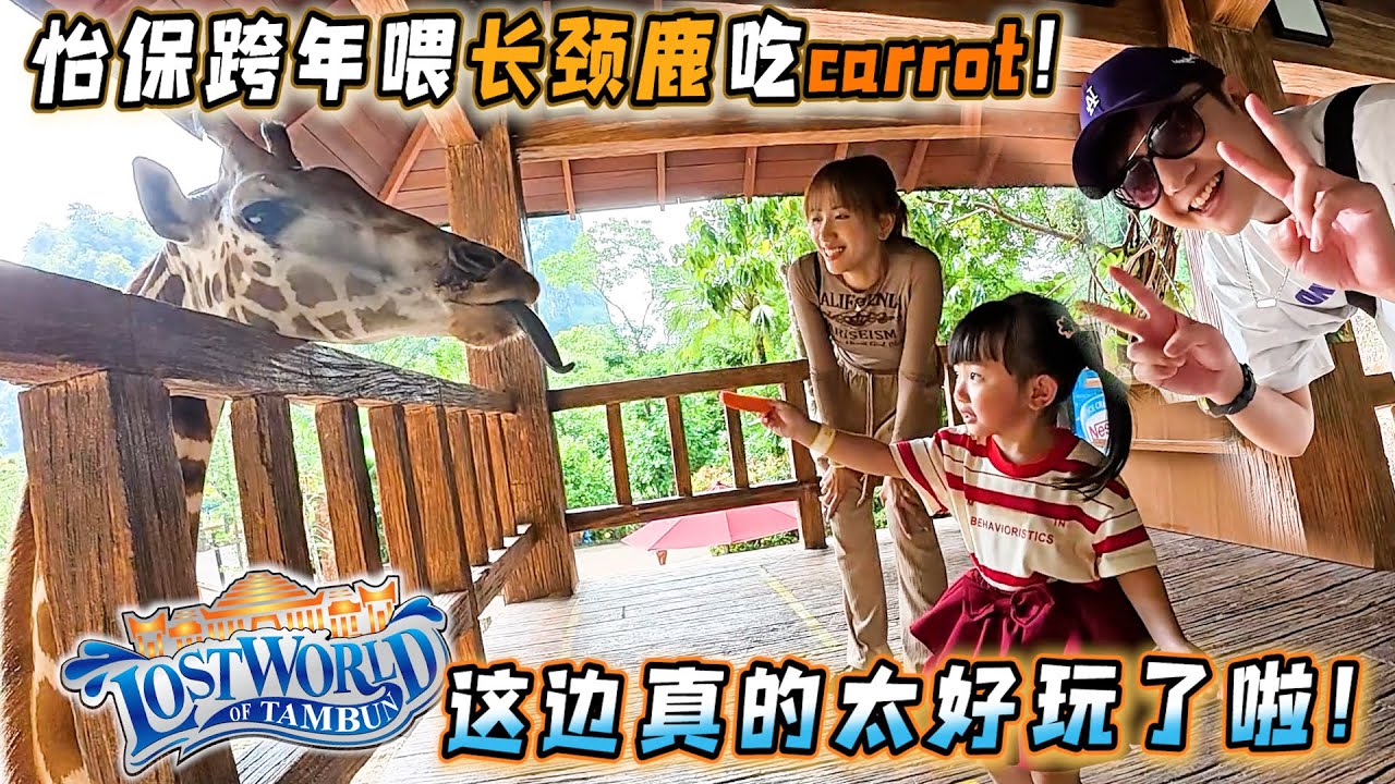 跨年我们在怡保喂长颈鹿吃carrot，Tambun Lost World动物园，我的天这里太好玩liao！