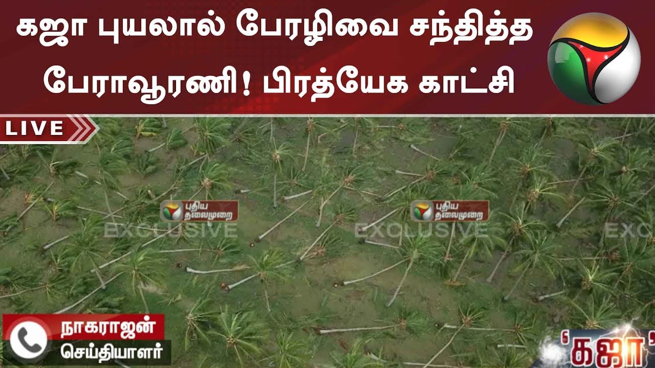 Exclusive view of Gaja Cyclone Effects| கஜா புயலால் பேரழிவை சந்தித்த பேராவூரணி! பிரத்யேக காட்சி
