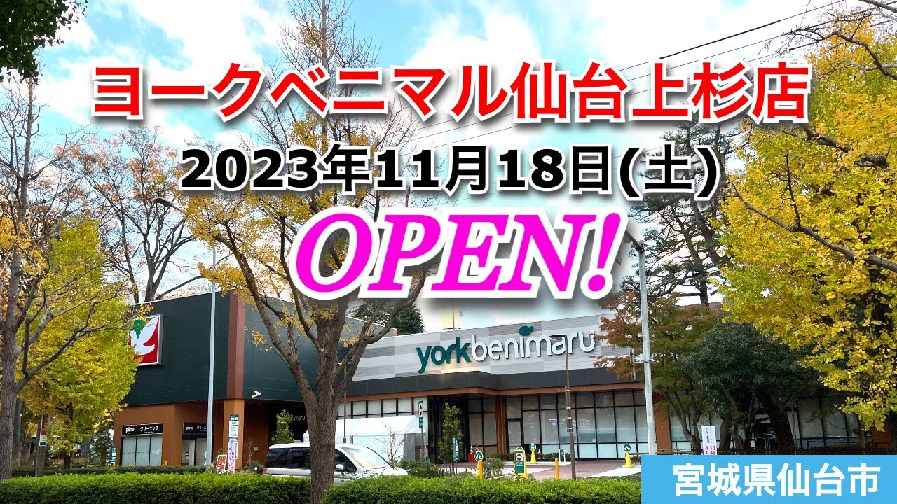 『ヨークベニマル仙台上杉店』2023年11月18日(土)オープン！／宮城県仙台市青葉区
