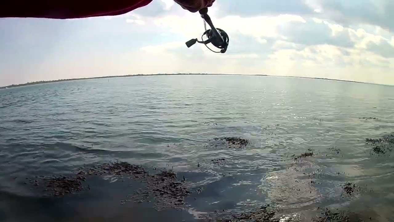 Another try for a Blackwater Bass