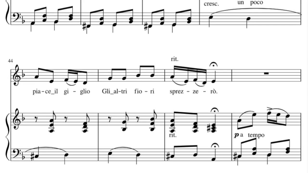 Accompaniment (Dminor, Lowkey) Se tu m'ami, se tu  sospiri