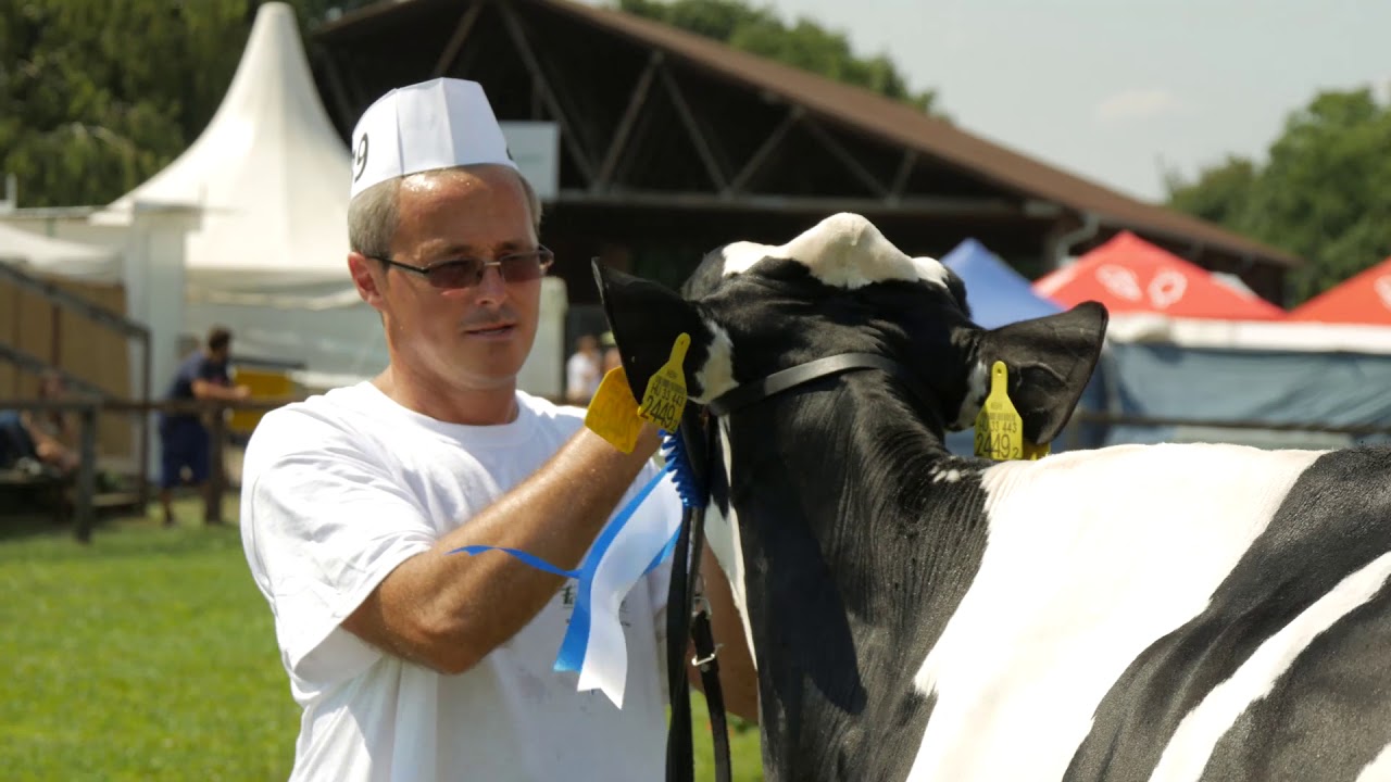 HOLSTEIN GENETIKA Farmer Expo 2018
