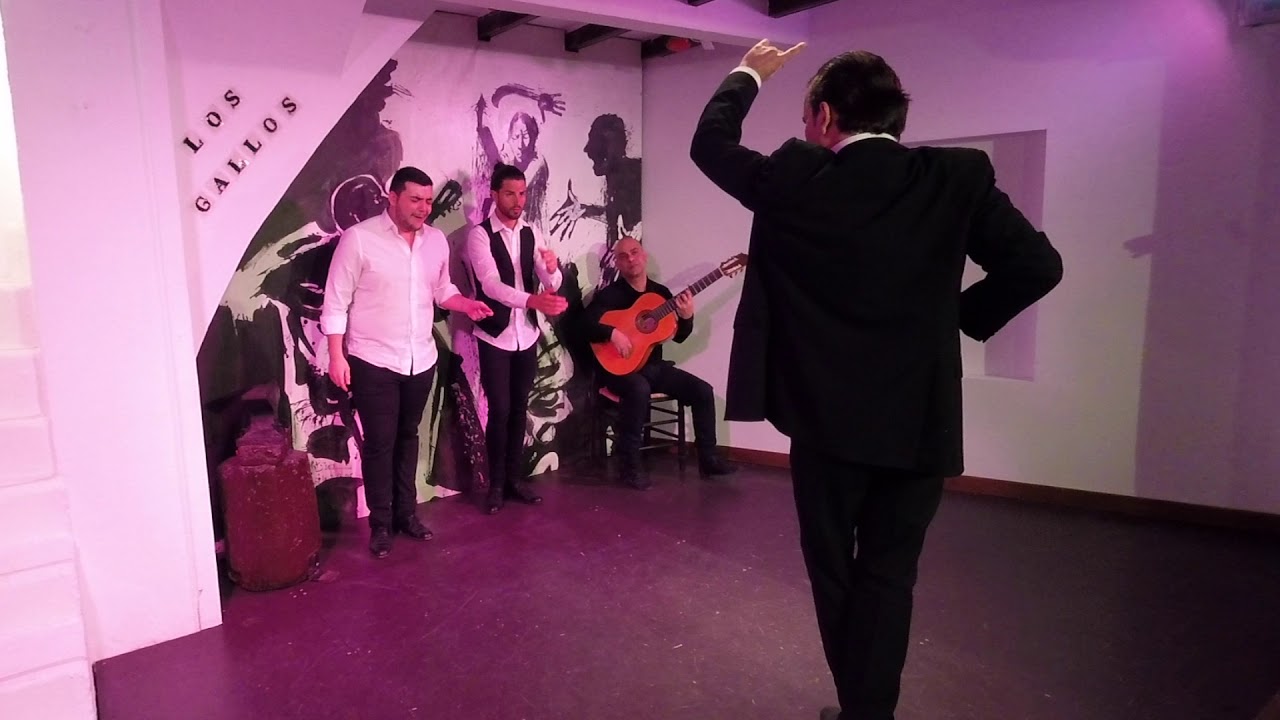 Pepe Torres x Soleá, Tablao Flamenco Los Gallos (Sevilla)