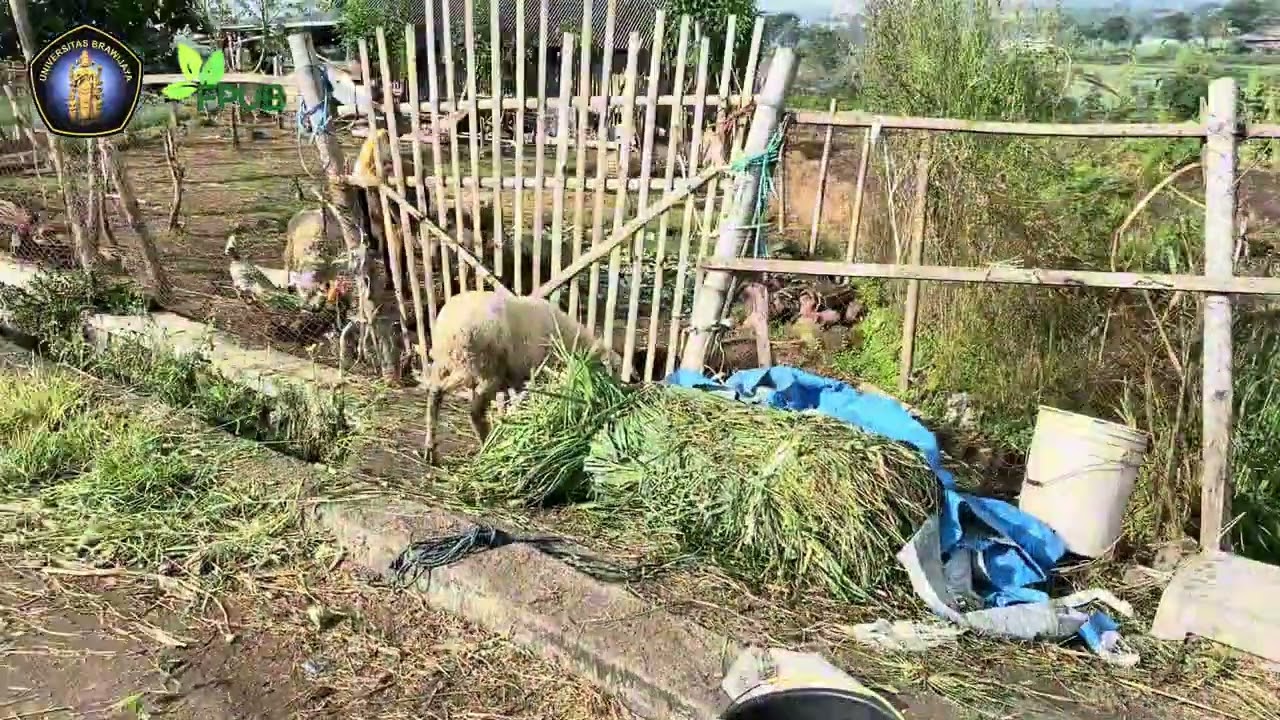 Turun Lapang Praktikum Stabis dan Ekopro