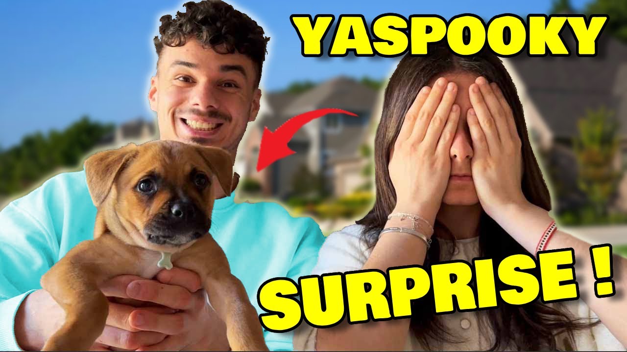 YASPOOKY DÉCOUVRE POUR LA PREMIÈRE FOIS MON CHIOT HOLLY