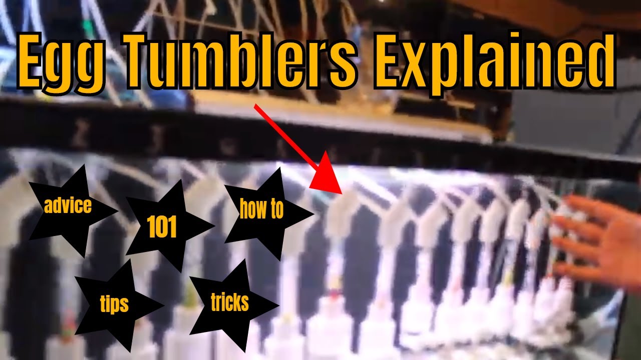Egg Tumblers 101 - Egg Tumbler Tips For Beginners - How To Raise African Cichlid fry in Egg Tumblers