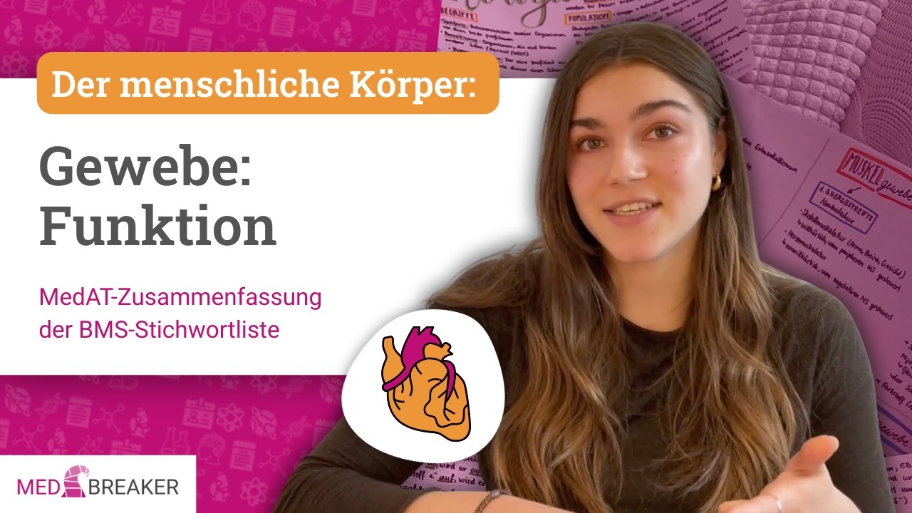 Gewebe: Funktion - Menschlicher K&ouml;rper | MedAT-Zusammenfassung der BMS-Stichwortliste