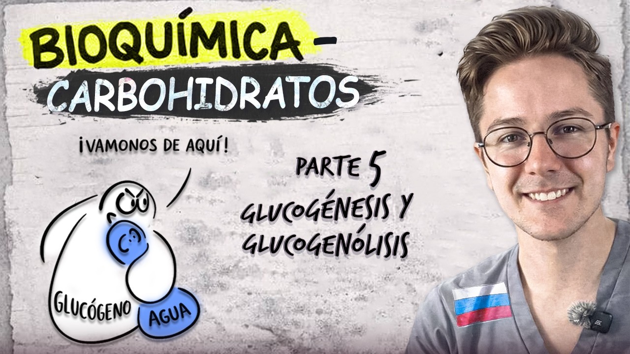 Bioquímica del GLUCÓGENO | GLUCOGÉNESIS (síntesis) vs GLUCOGENÓLISIS (degradación) | Glucogenosis
