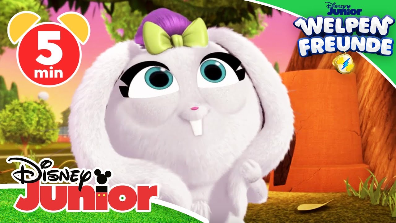 Welpen Freunde - Die 5 tollsten Freundschaftsmomente | Disney Junior
