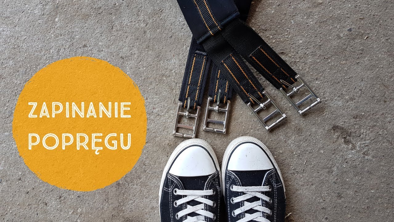Zapinanie popręgu | Tłumaczy Instruktor 🐎